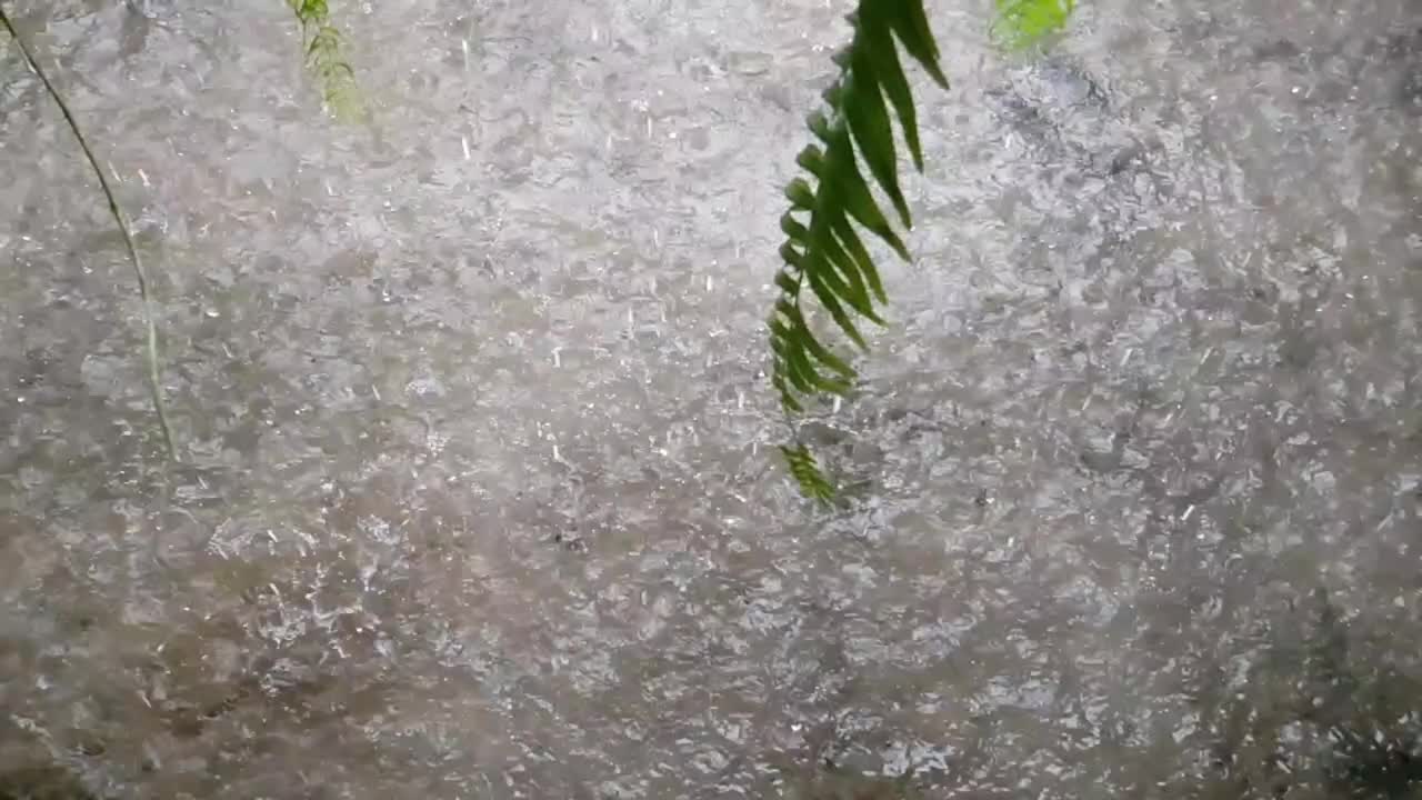 雨使大自然清新明亮。视频下载