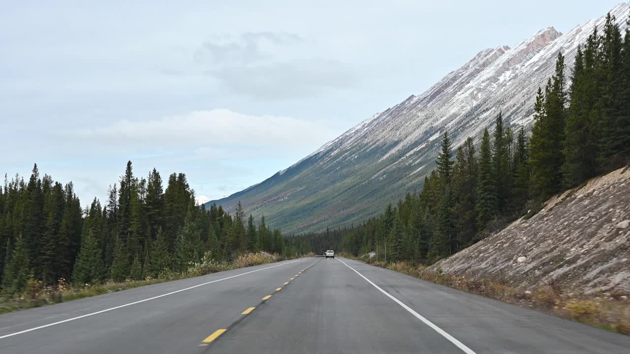 在班夫国家公园松林的落基山脉高速公路上开车的公路之旅视频素材