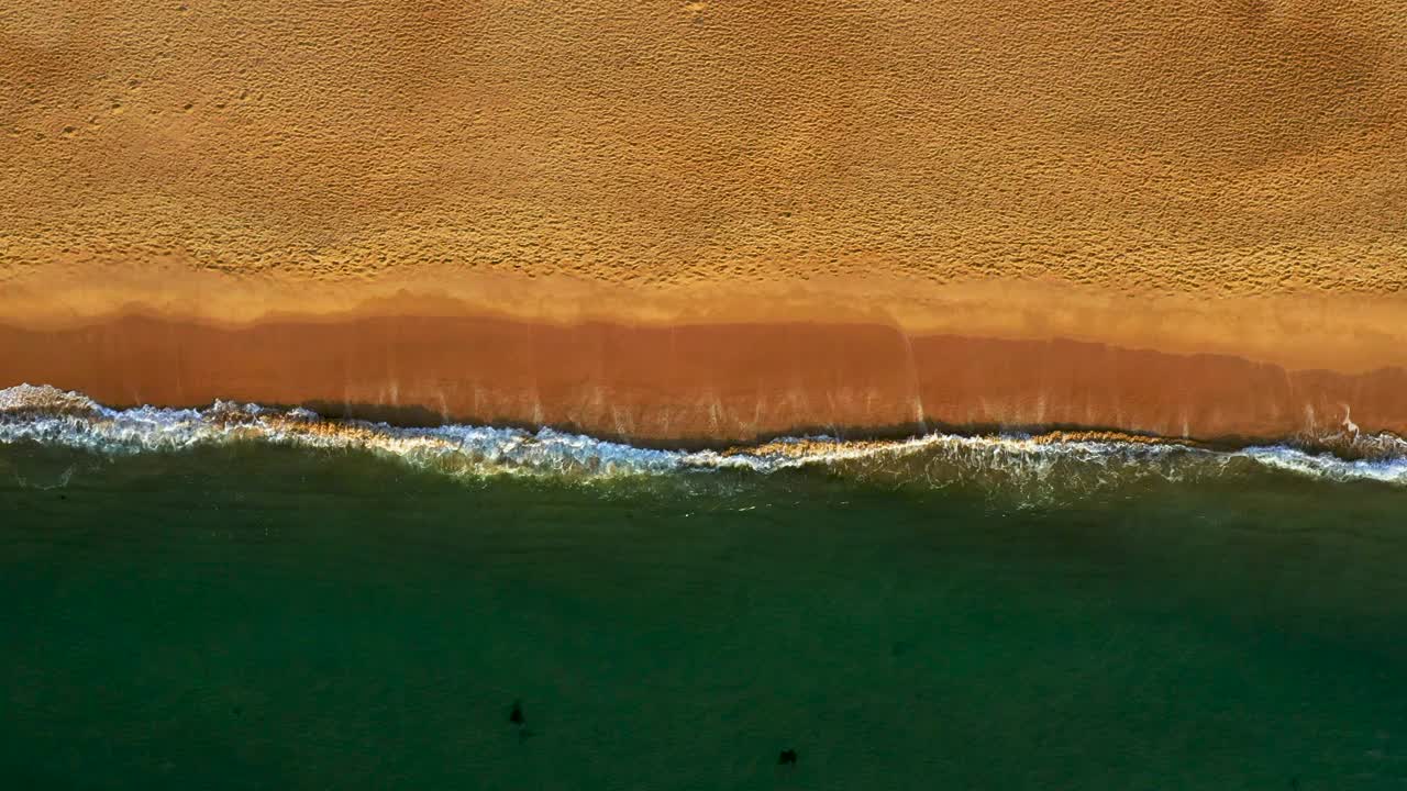 韩国釜山，Waves / Haeundae-gu视频素材