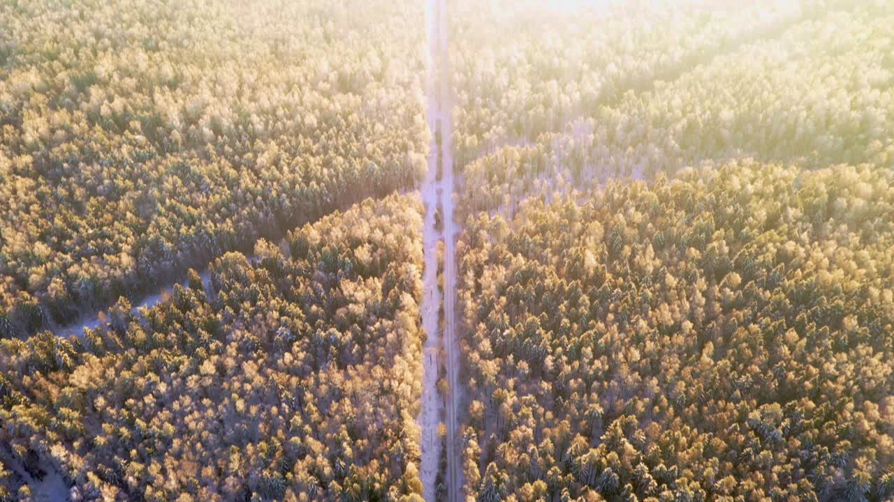 鸟瞰图的冬季森林与积雪覆盖的树木与村庄的道路，以一个平稳的相机转移到地平线视频下载