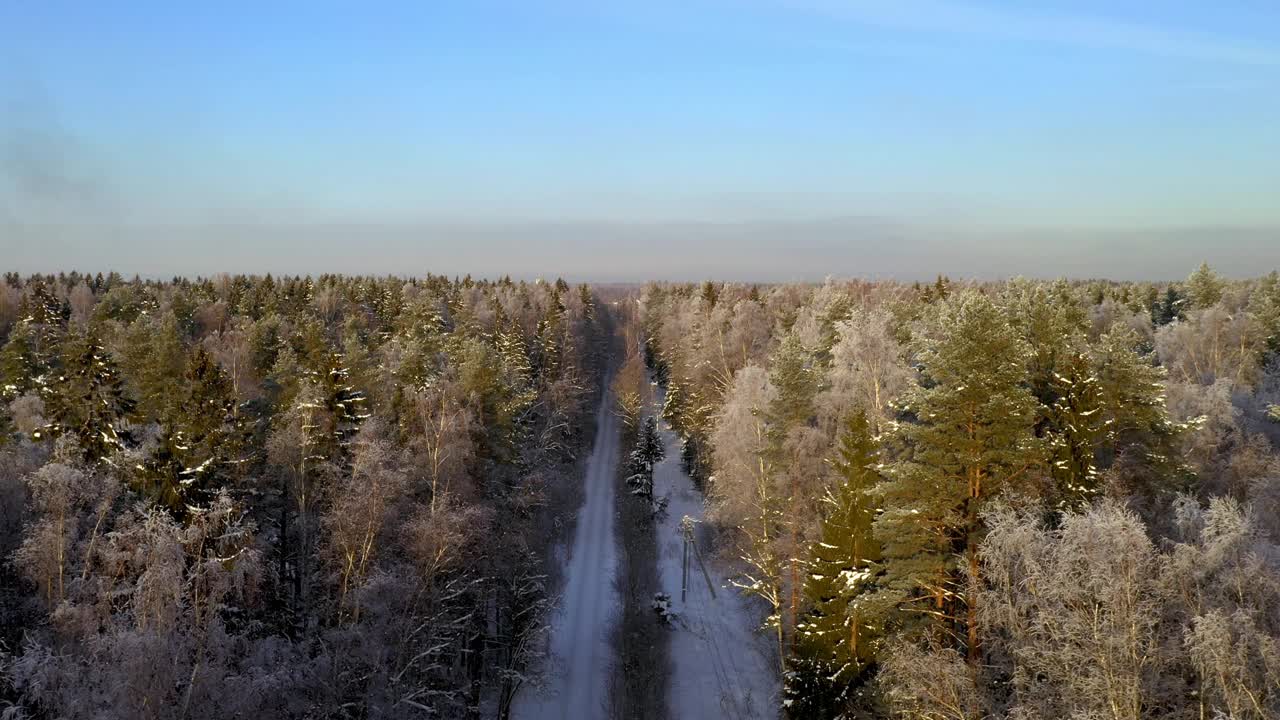 鸟瞰图美丽的县城公路在冰天雪地的仙女森林阳光明媚的天气。无人机在路上向前移动视频素材