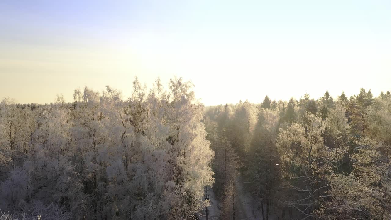 在冬季森林的背景上，被冰雪覆盖的树木。无人机在树木周围的移动。鸟瞰图。阳光明媚的天气视频素材