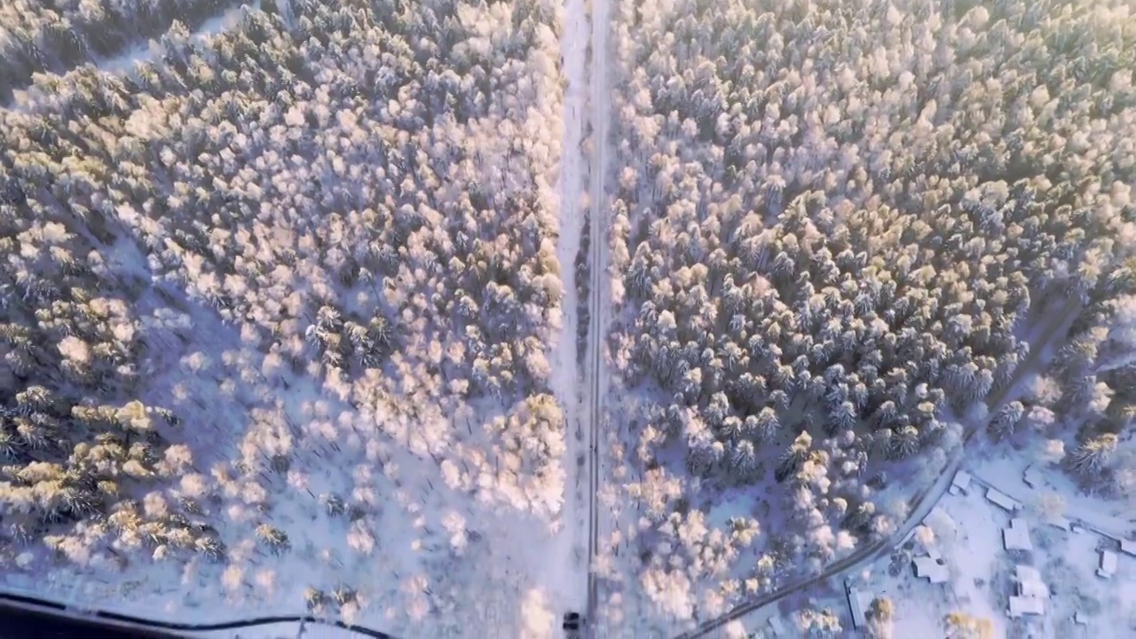 鸟瞰图的冬季森林与积雪覆盖的树木与村庄的道路，以一个平稳的相机转移到地平线视频素材