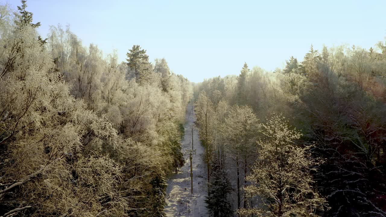 鸟瞰图美丽的县城公路在冰天雪地的仙女森林阳光明媚的天气。无人机在路上向前移动视频下载