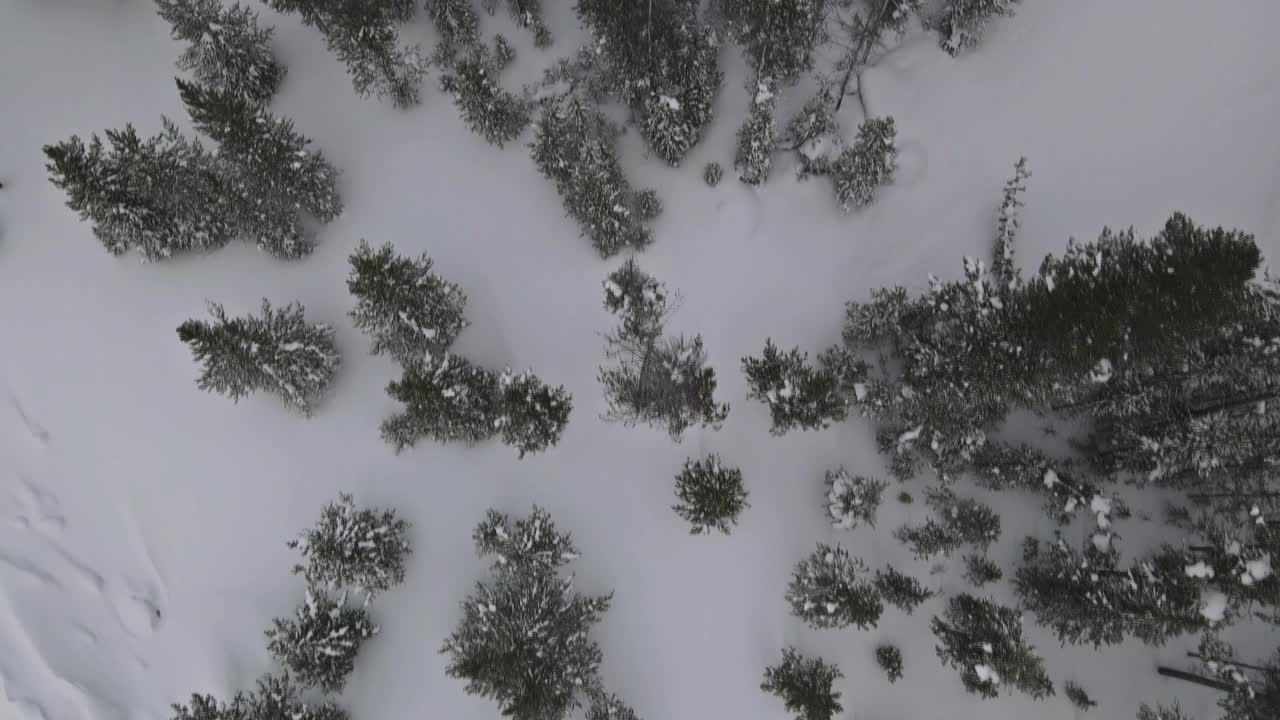 鸟瞰图冬季景观在一场大雪覆盖了一场潮湿的大雪，一层厚厚的雪躺在树枝上视频素材