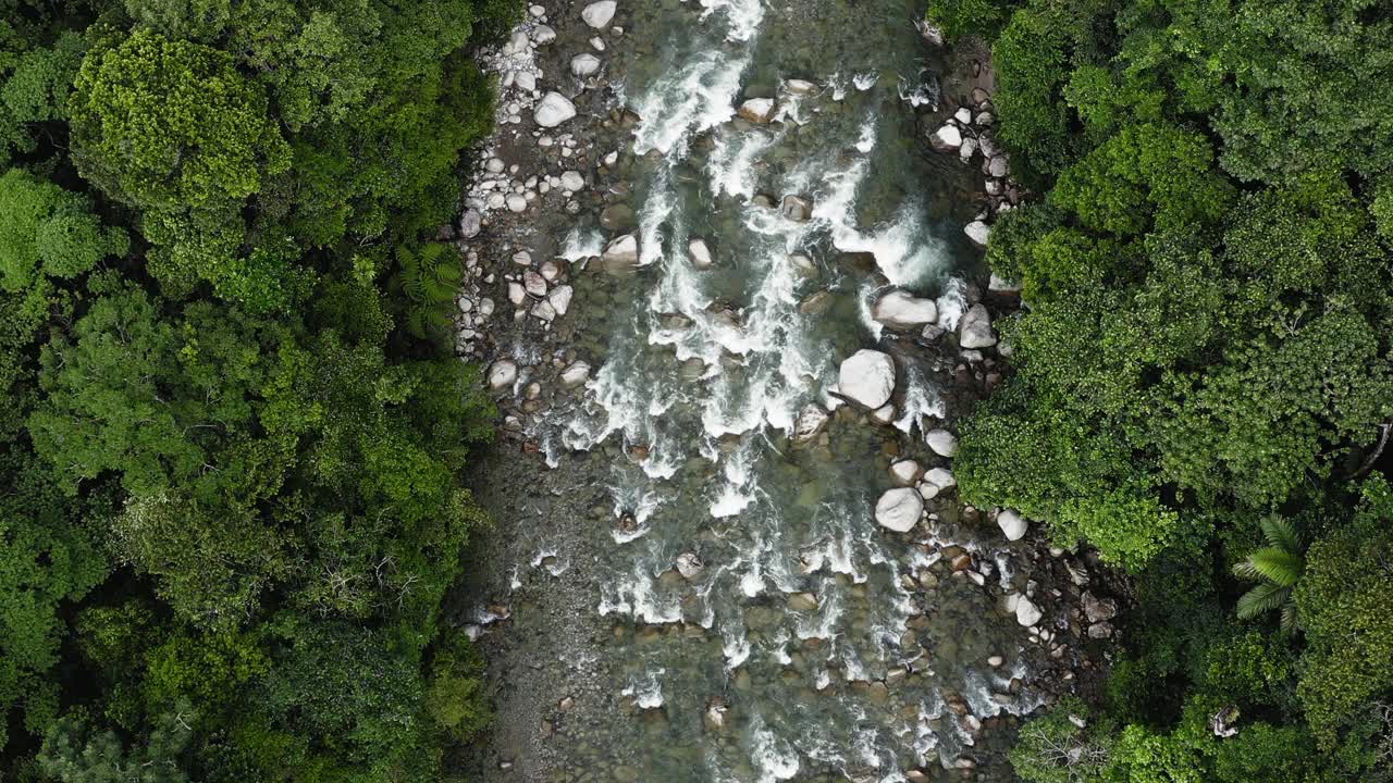 空中俯瞰湍急的热带河流，水流湍急视频素材