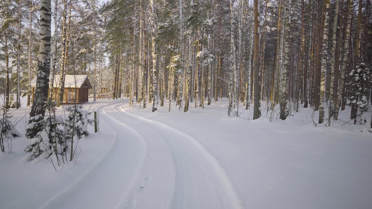 在一个美丽的霜冻的早晨，穿过覆盖着积雪的森林。没有人。视频素材