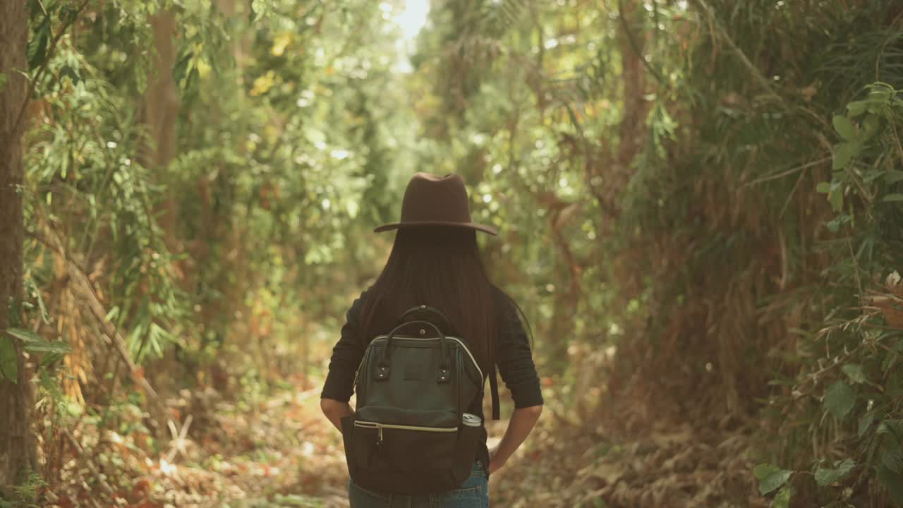 年轻女子徒步旅行和享受在森林，假期和旅游的概念。视频素材