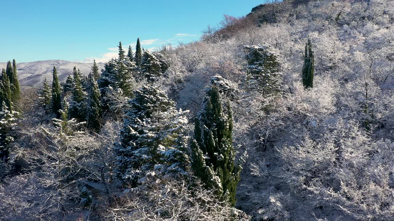 意大利托斯卡纳的积雪森林视频素材