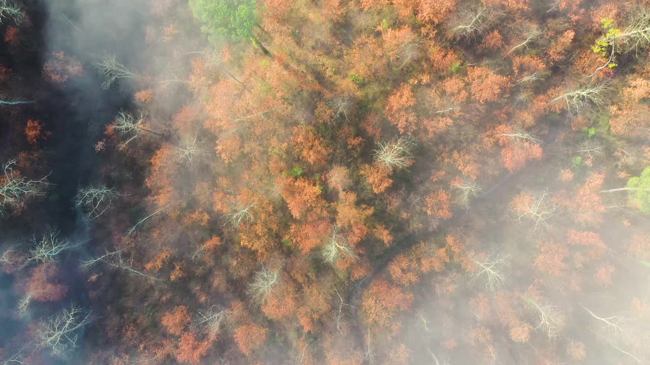 意大利托斯卡纳的瓦尔迪佩萨晨雾视频素材