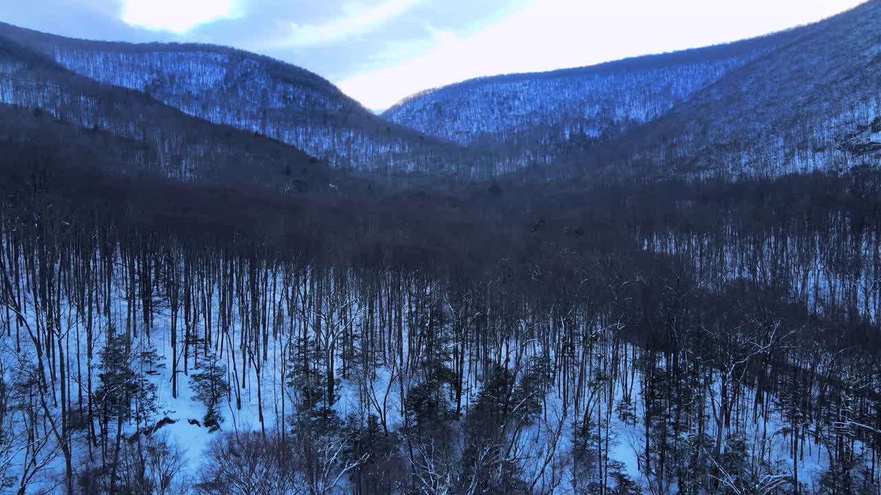 无人机拍摄的黄昏时分白雪覆盖的山谷视频素材