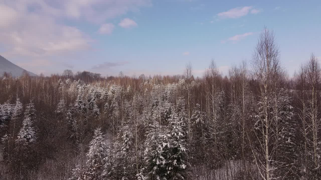 风景如画的乡村鸟瞰，混合森林树木生长在山谷中的山丘。环境的概念。探索和旅游目的地的旅游和游览者视频素材