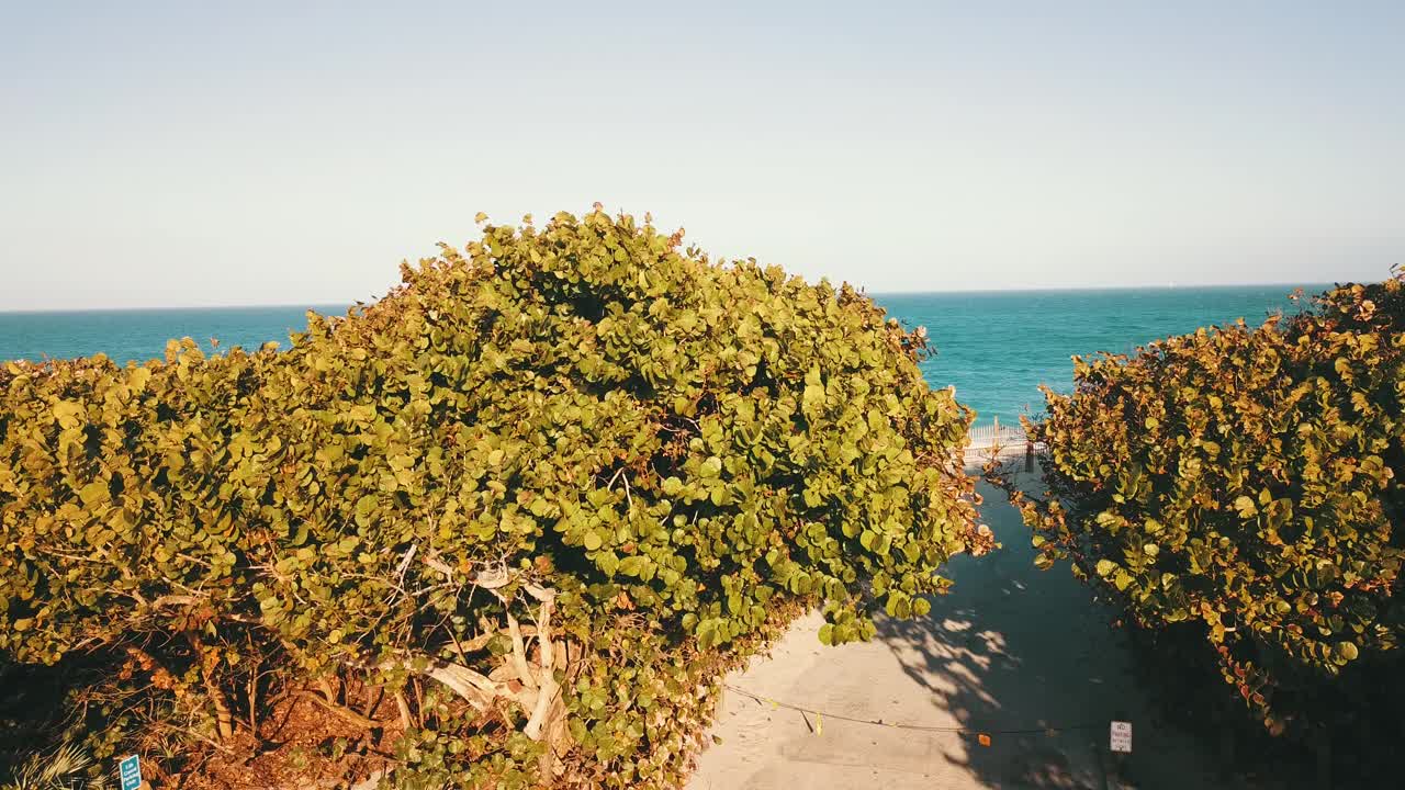 无人机在佛罗里达州朱庇特海滩上的蓝绿色海水视频素材