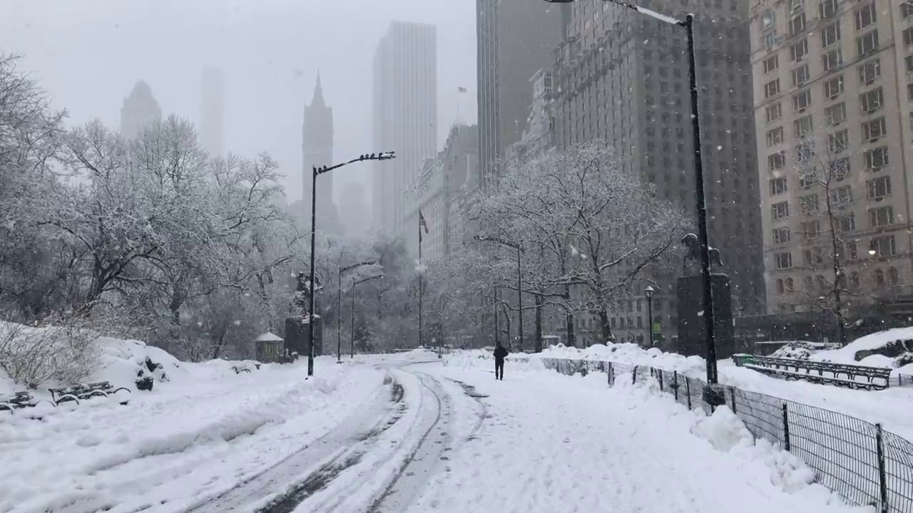 雪中央公园-人走下路径视频素材