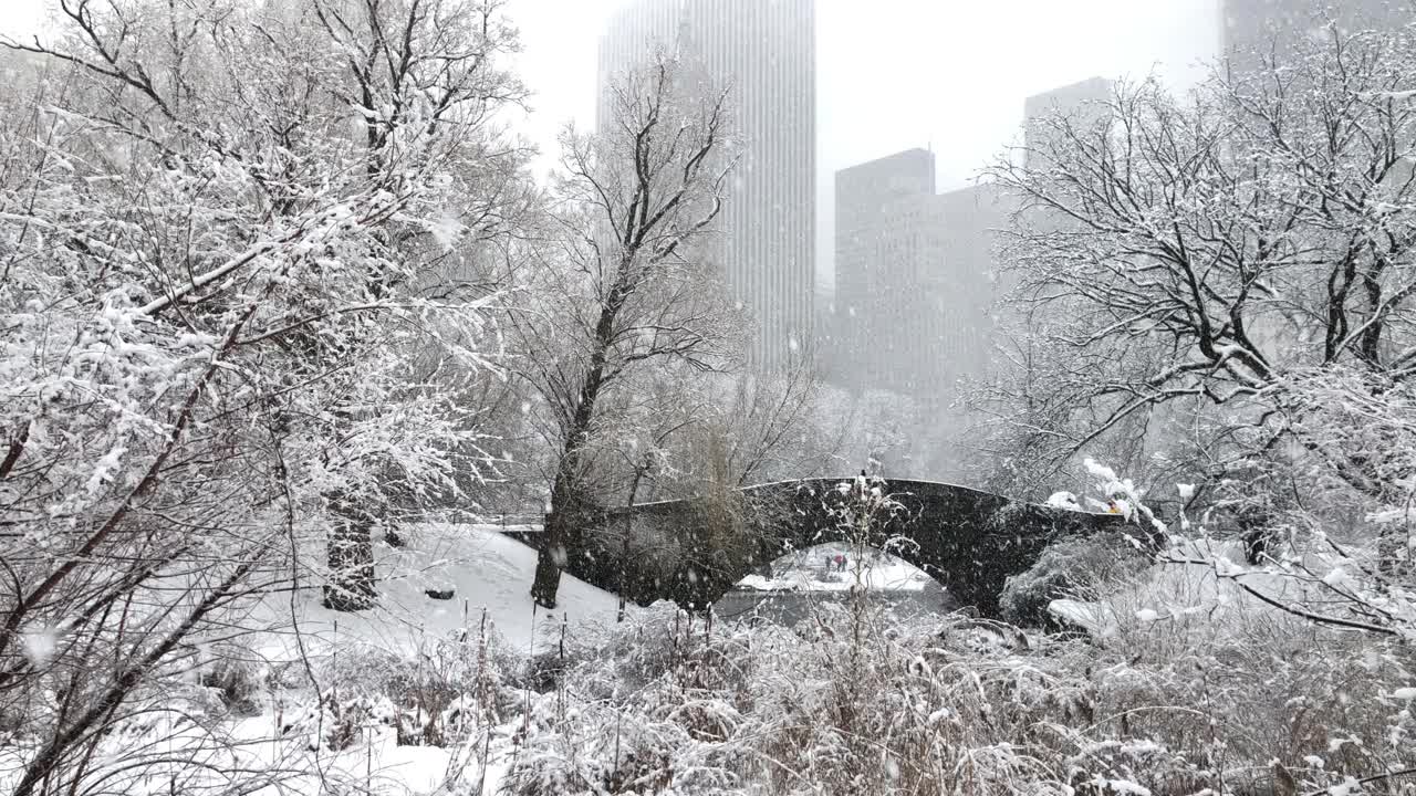 雪中央公园-盖普斯托桥和天际线视频素材