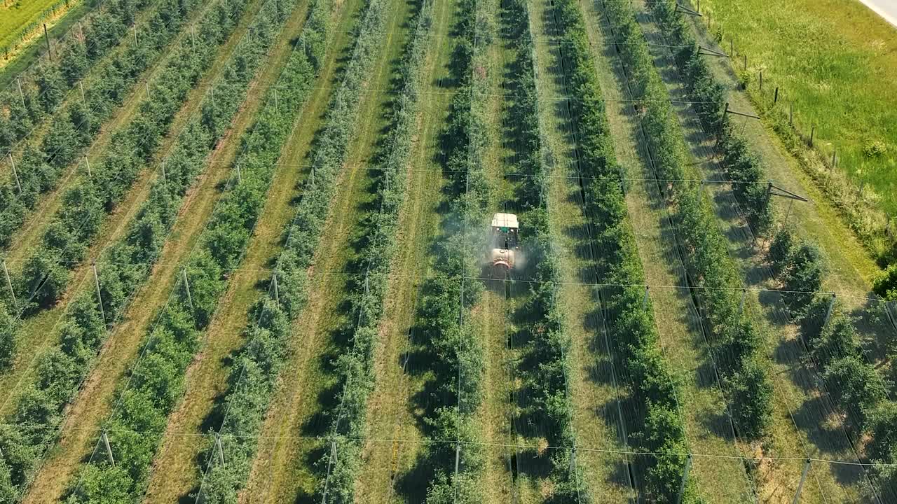 拖拉机喷施防雹网果园的春季航迹拍摄视频素材