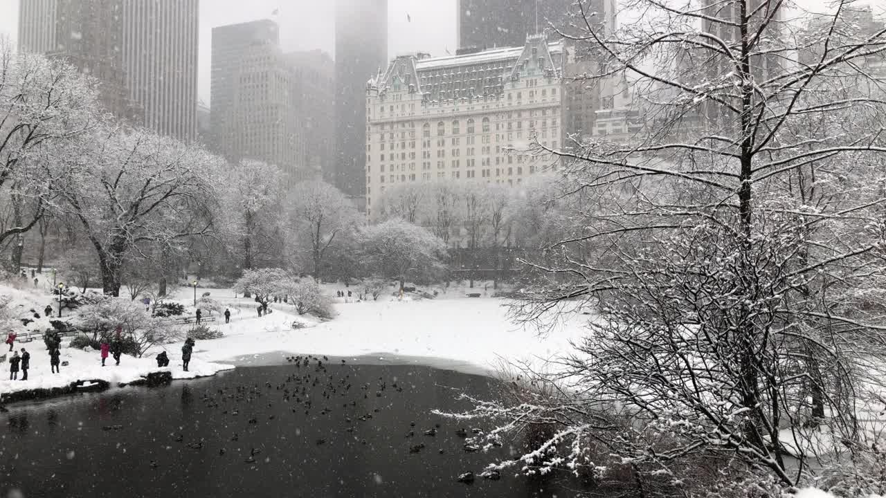 下雪的中央公园-纽约市天际线视频素材