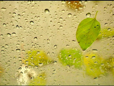 雨落在窗口视频素材