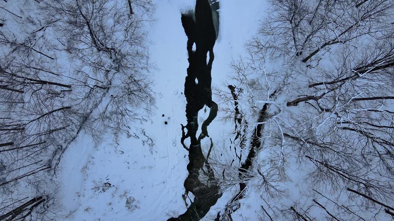 无人机拍摄的积雪峡谷和溪流视频素材