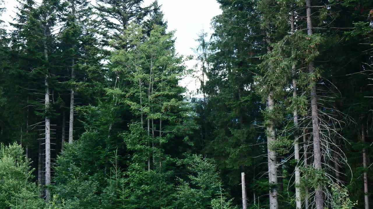 乘坐滑雪缆车上山，乘坐蓝色缆车下山。视频素材