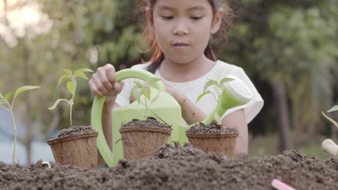 亚洲女孩在回收的纤维盆里浇灌幼苗视频素材