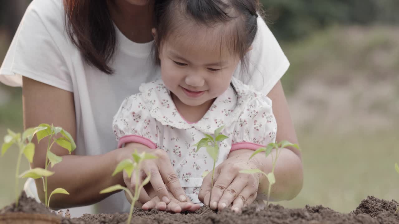 亚洲小女孩和家长抱栽幼苗视频素材