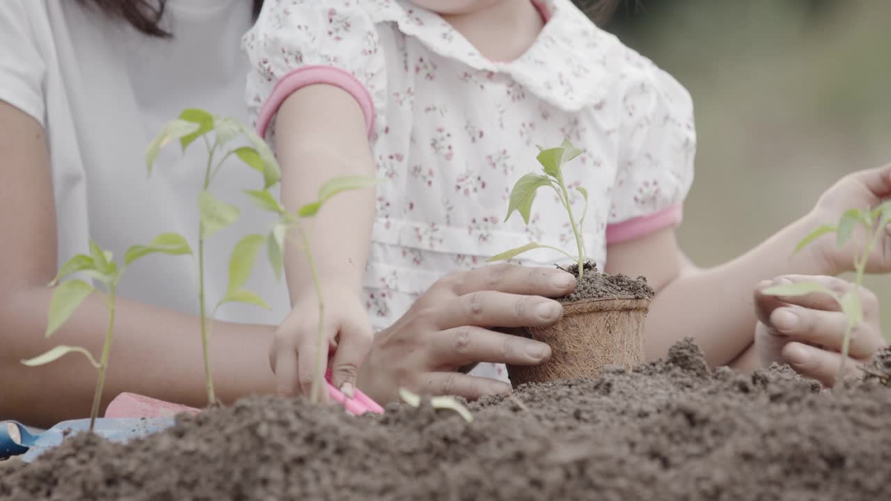 亚洲小女孩和父母种植幼苗视频素材