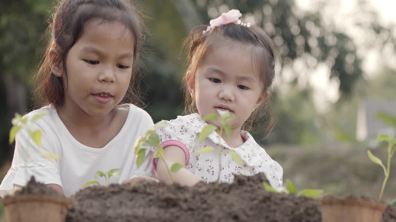 两个亚洲孩子一起在花园里种幼苗视频素材