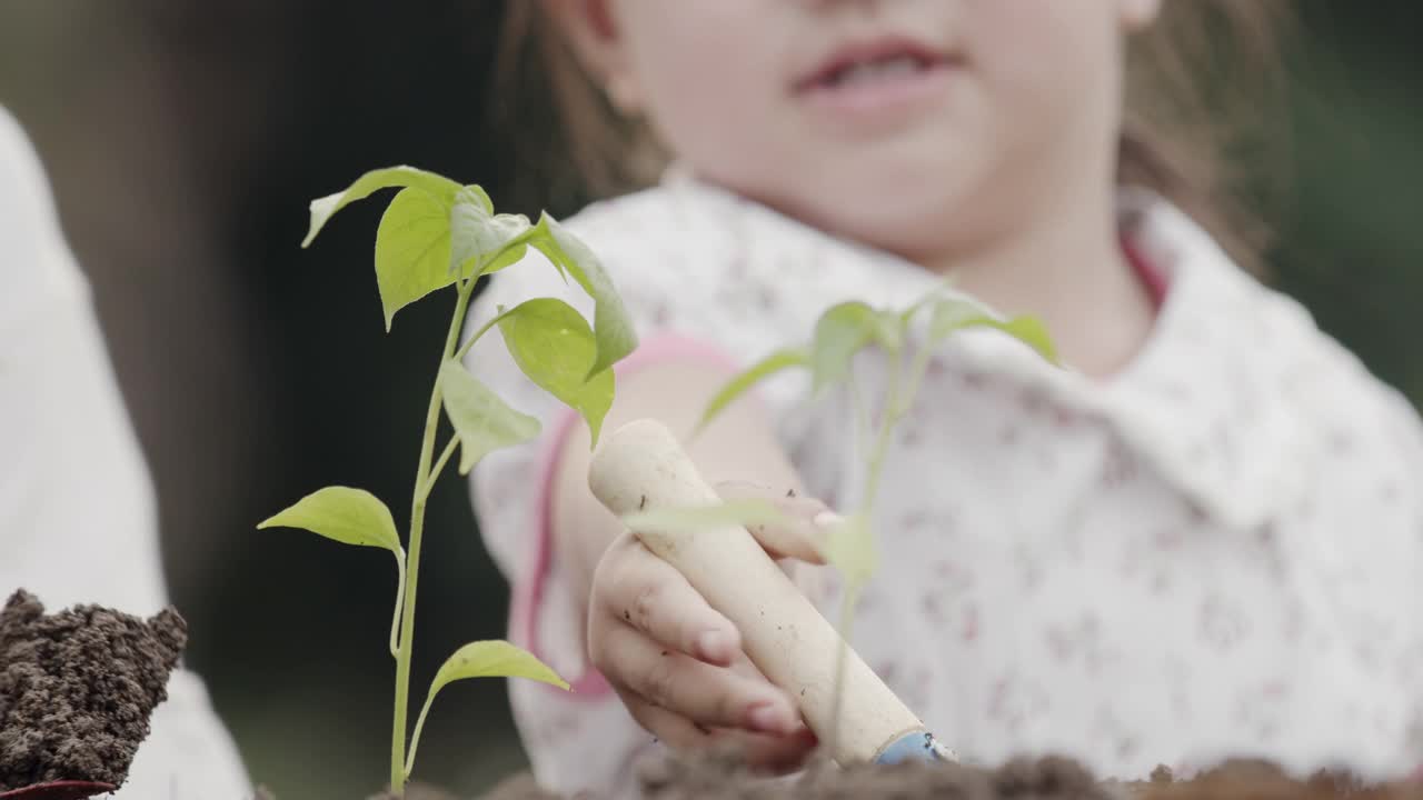 亚洲小女孩用铲子在花园里种植幼苗视频素材