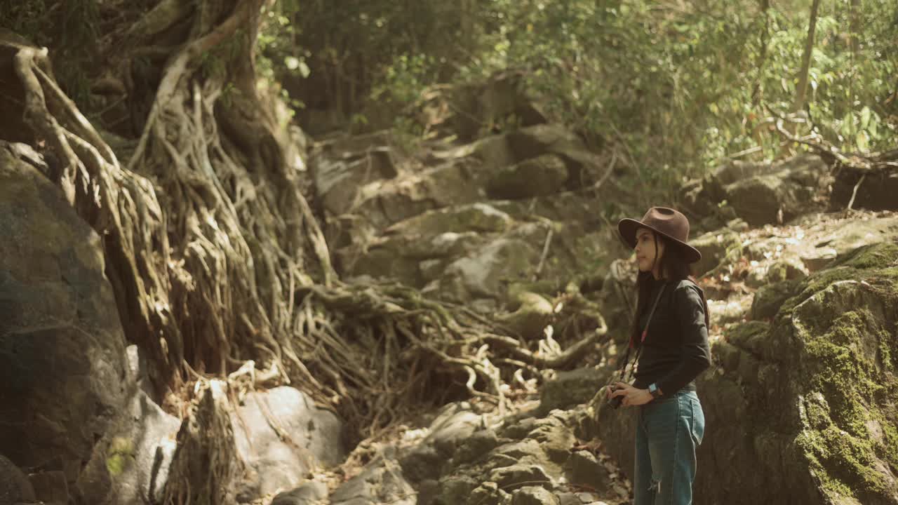 年轻的女人徒步旅行者在森林里用相机拍自然照片，假期和旅游的概念。视频素材