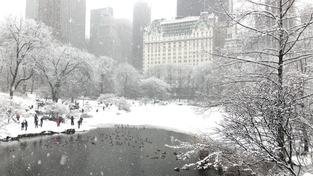 冰雪覆盖的中央公园-著名景观视频素材