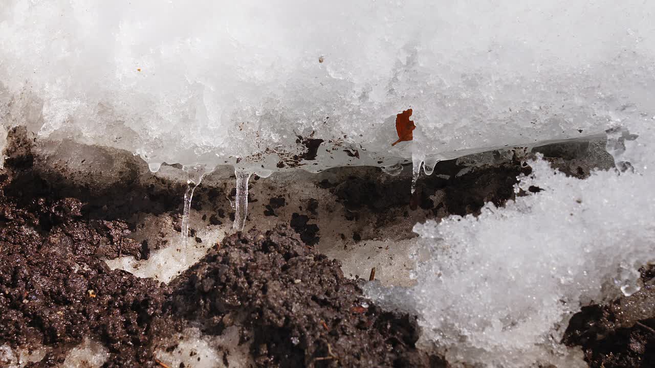 前景中的雪中滴落的水很快视频素材