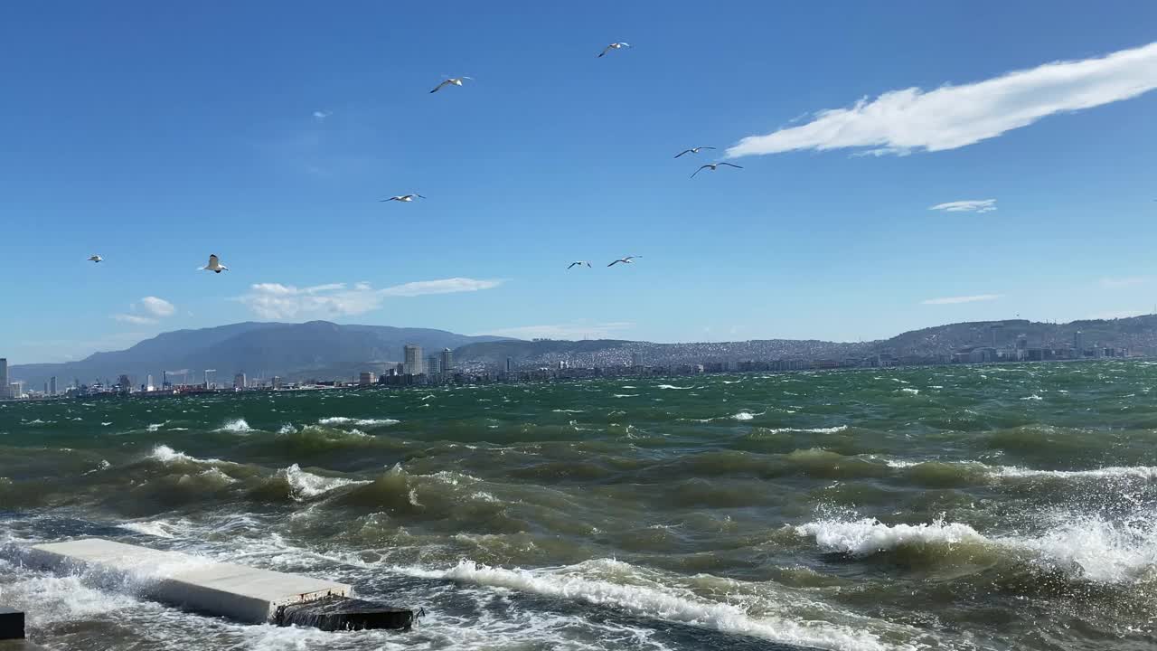 狂风暴雨的一天视频素材