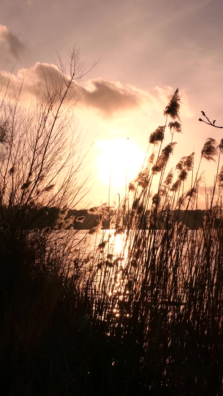 夕阳在水面上反射着光。视频素材