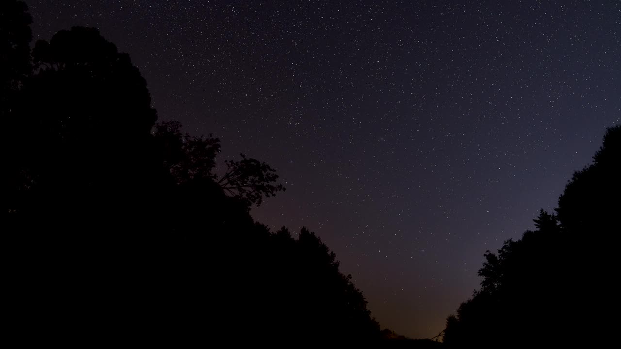 夜晚的时间与树木剪影前景-一些卫星和英仙座流星雨落在星空，三角座星系在仙女座区域的恒星中隐约可见视频素材