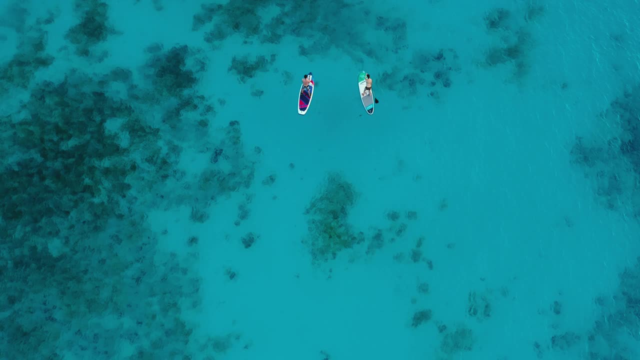 鸟瞰图的游客做站立桨板在水晶清澈碧绿的海洋在日落坦桑尼亚桑给巴尔岛视频素材