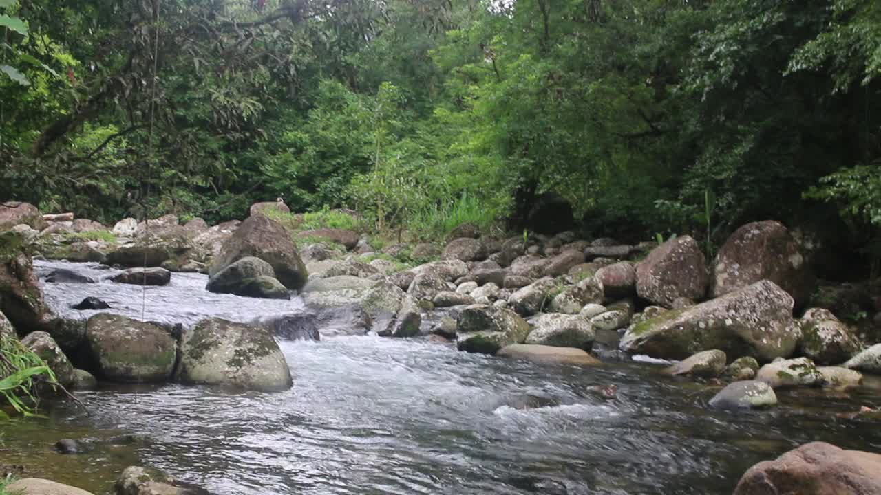 一股美丽的水流流过岩石。视频素材