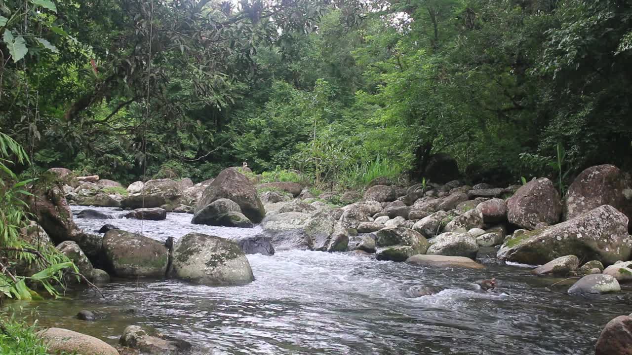 一股美丽的水流流过岩石。视频素材