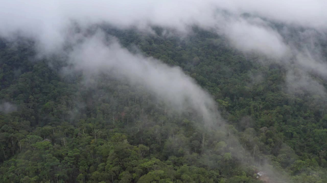 云雾笼罩的亚马逊雨林鸟瞰图视频素材