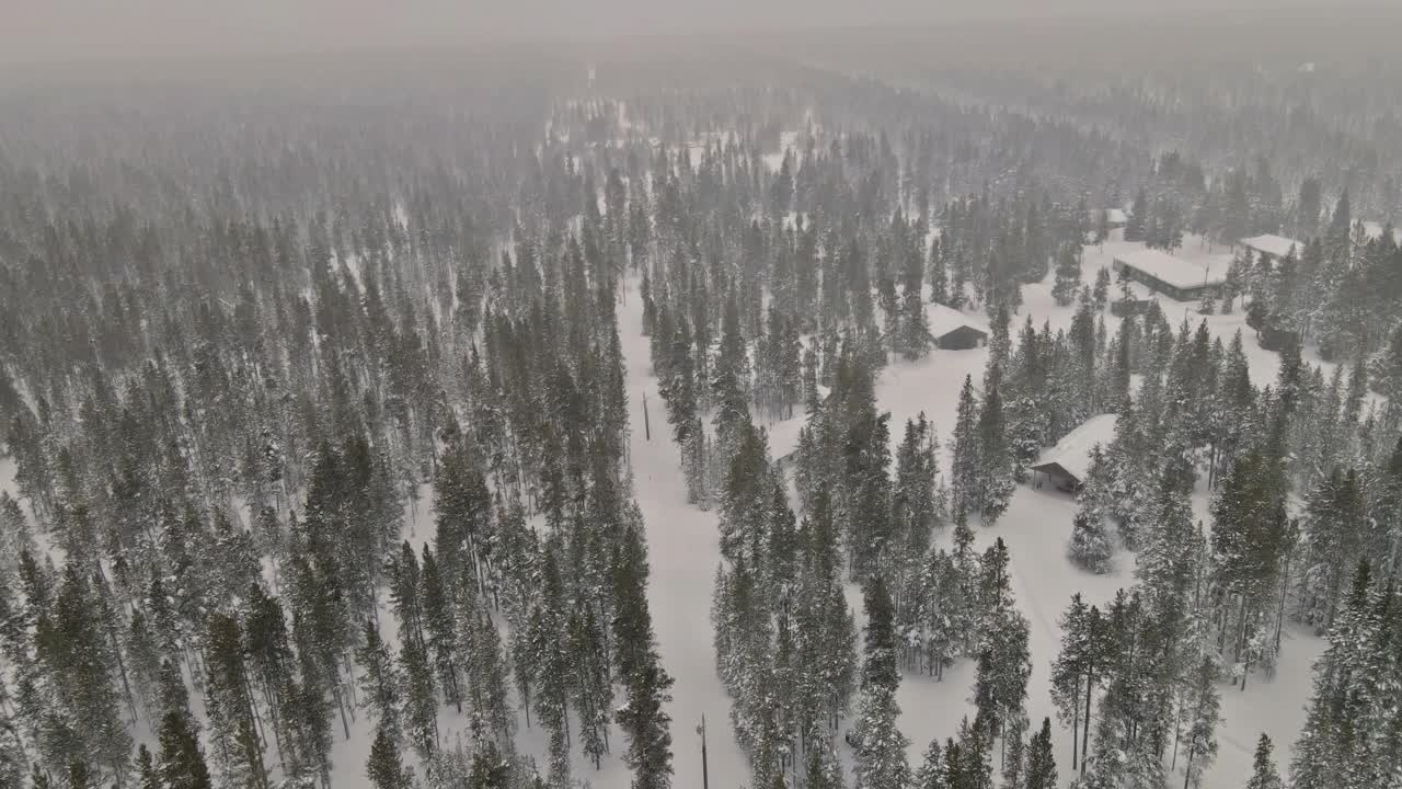 鸟瞰图神秘梦幻的冬季全景与大雪森林视频素材