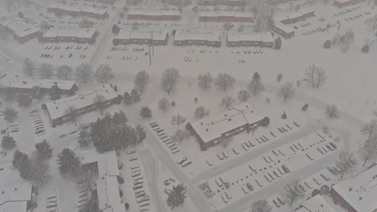 在美国冬季的一天降雪中，暴风雪云层中的树木被雪覆盖，覆盖在有屋顶的小镇住宅上空视频素材