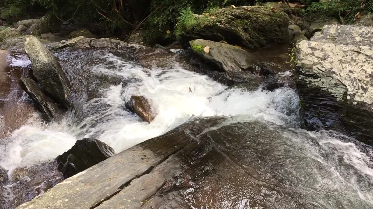 纯净的淡水瀑布在森林，南，泰国视频素材