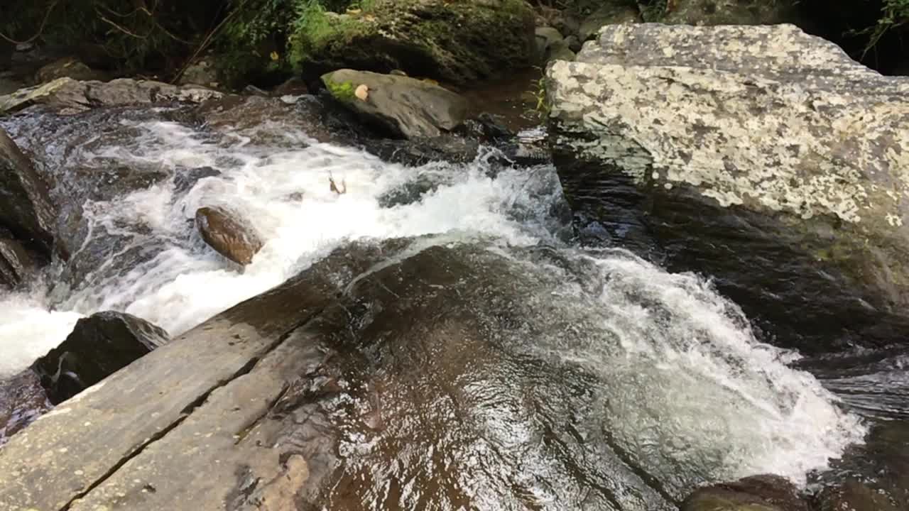 纯净的淡水瀑布在森林，南，泰国视频素材