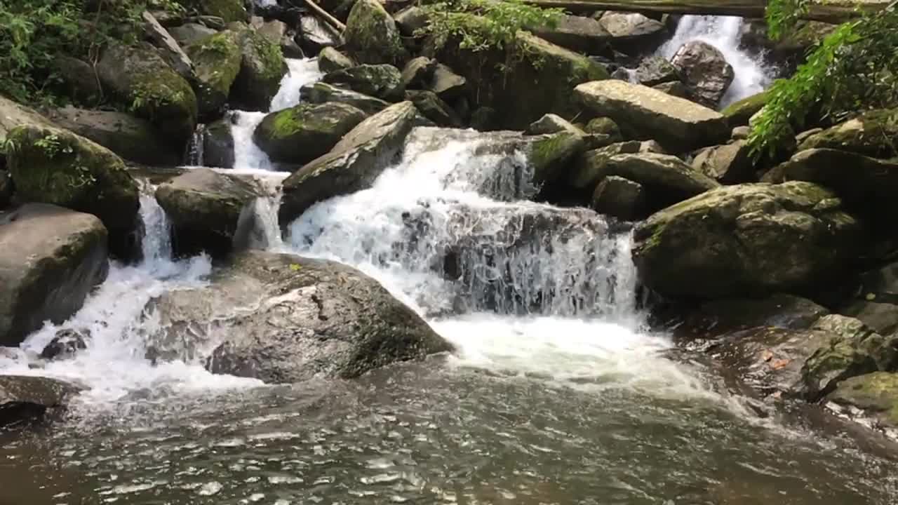 纯净的淡水瀑布在森林，南，泰国视频素材