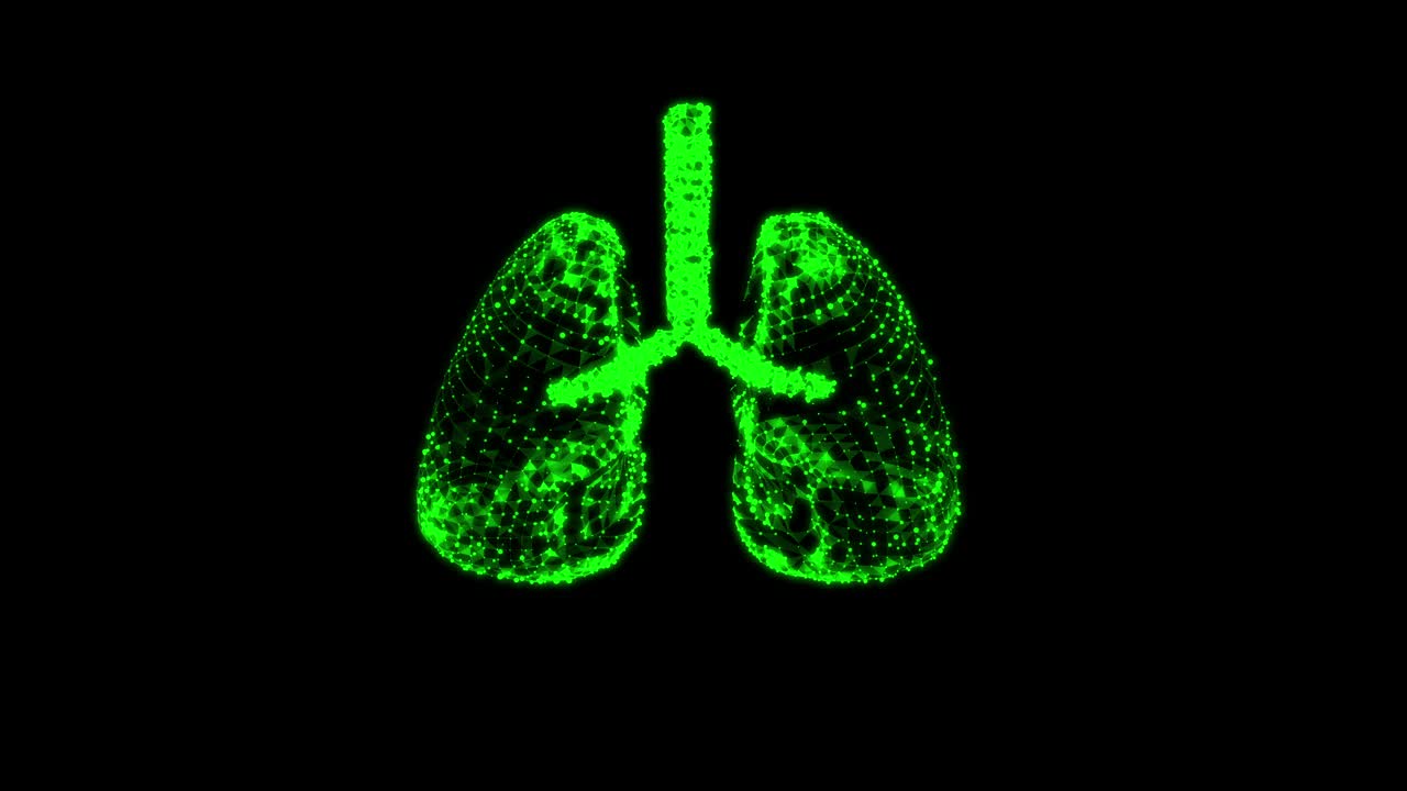 人肺有气管、支气管等内脏器官。肺医学科学技术概念。线框低多边形网格视频素材