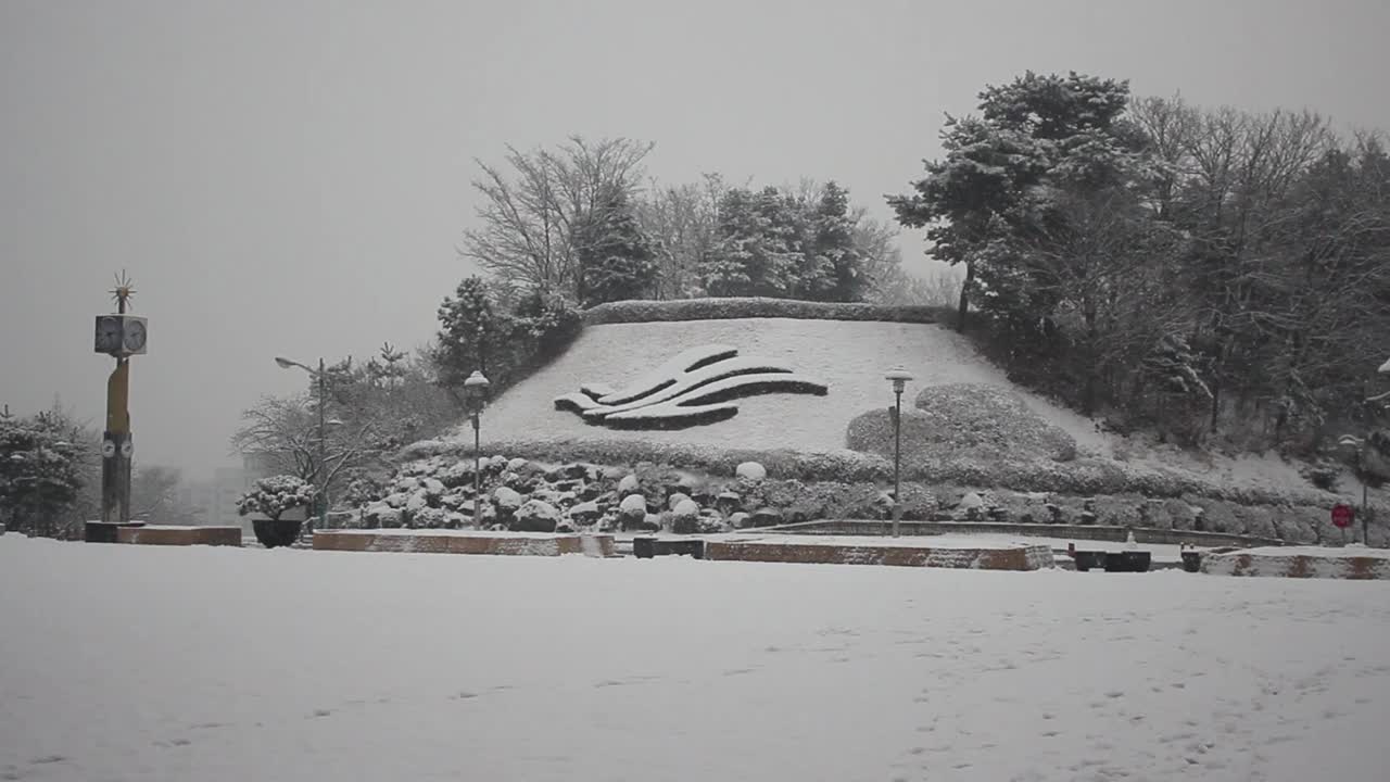 雪地和树木的景色，在一个公园在冬天视频素材