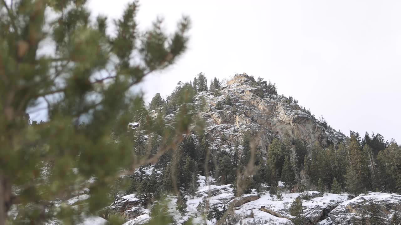 远处的山顶，在暴风雪中的松树后面视频素材