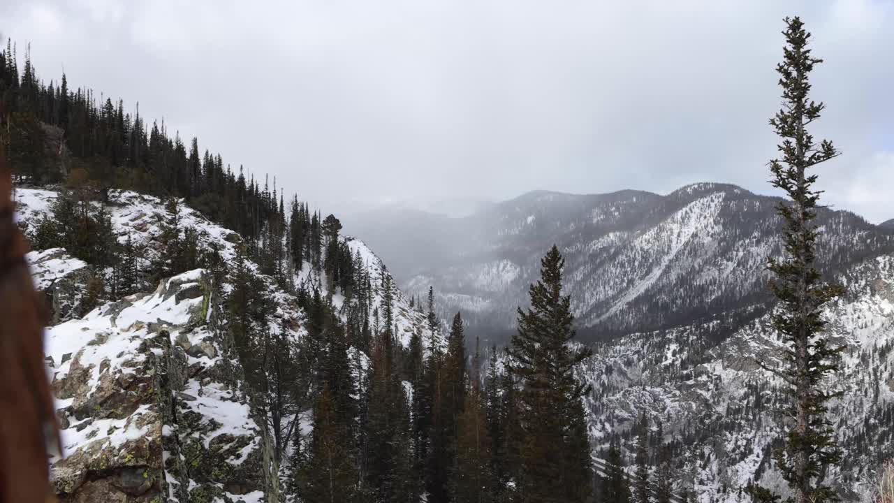 远处雪山中的枯树视频素材