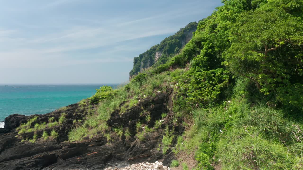 倾斜的空中拍摄从地面上的泰国海滩和森林树视频素材