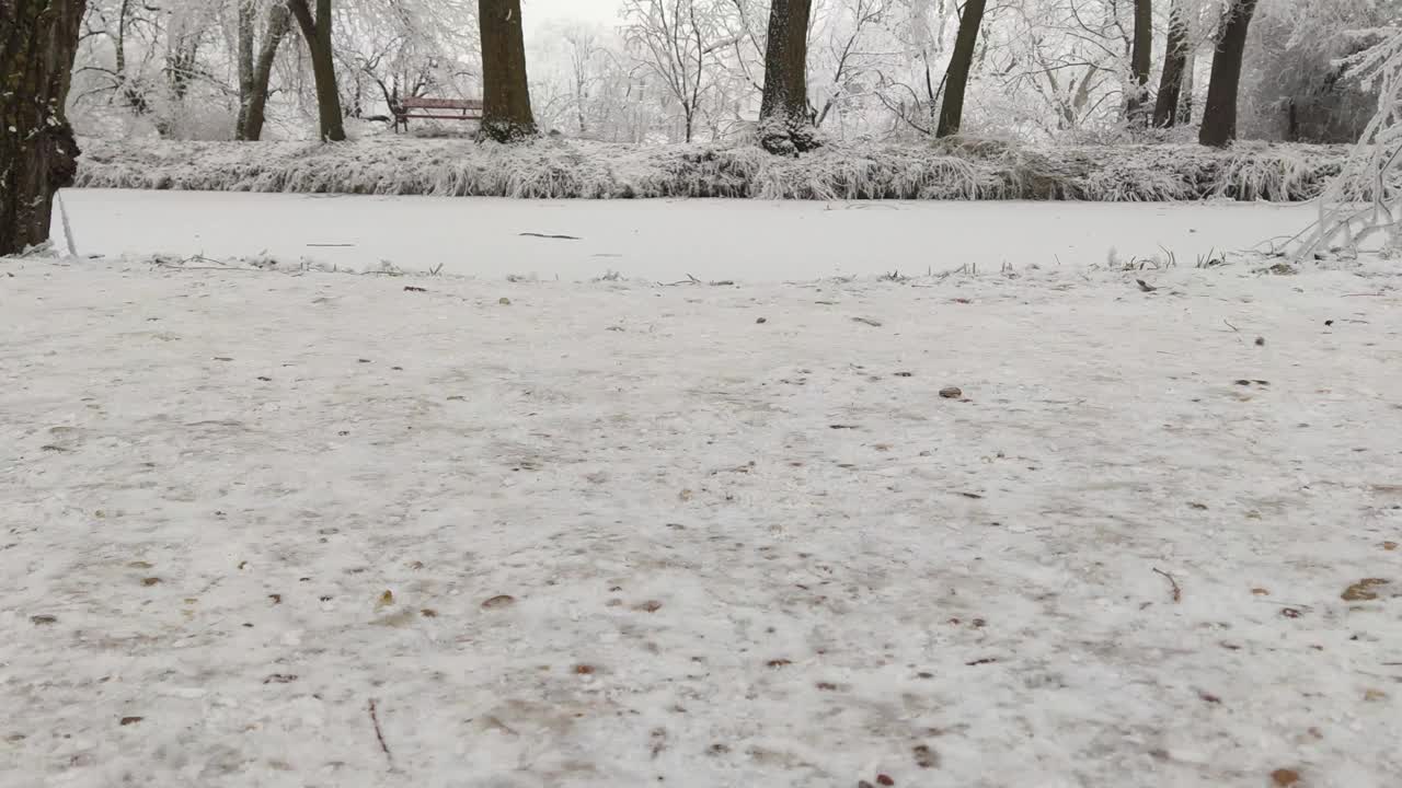 女孩穿着黑色的靴子在冬天的下午走在雪地上，带着拷贝的空间。视频素材